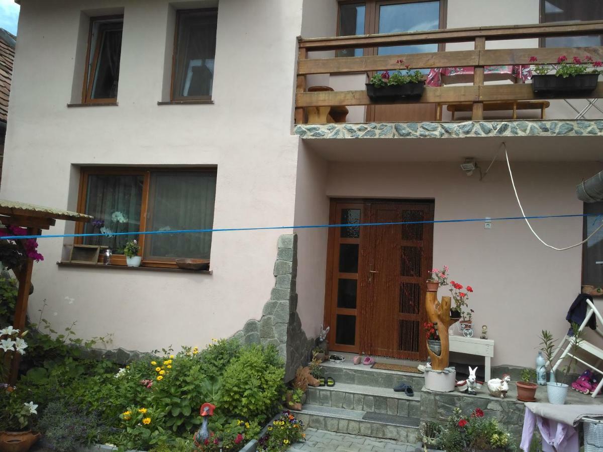 Отель Casa Teo Окна-Сибьюлуй Экстерьер фото